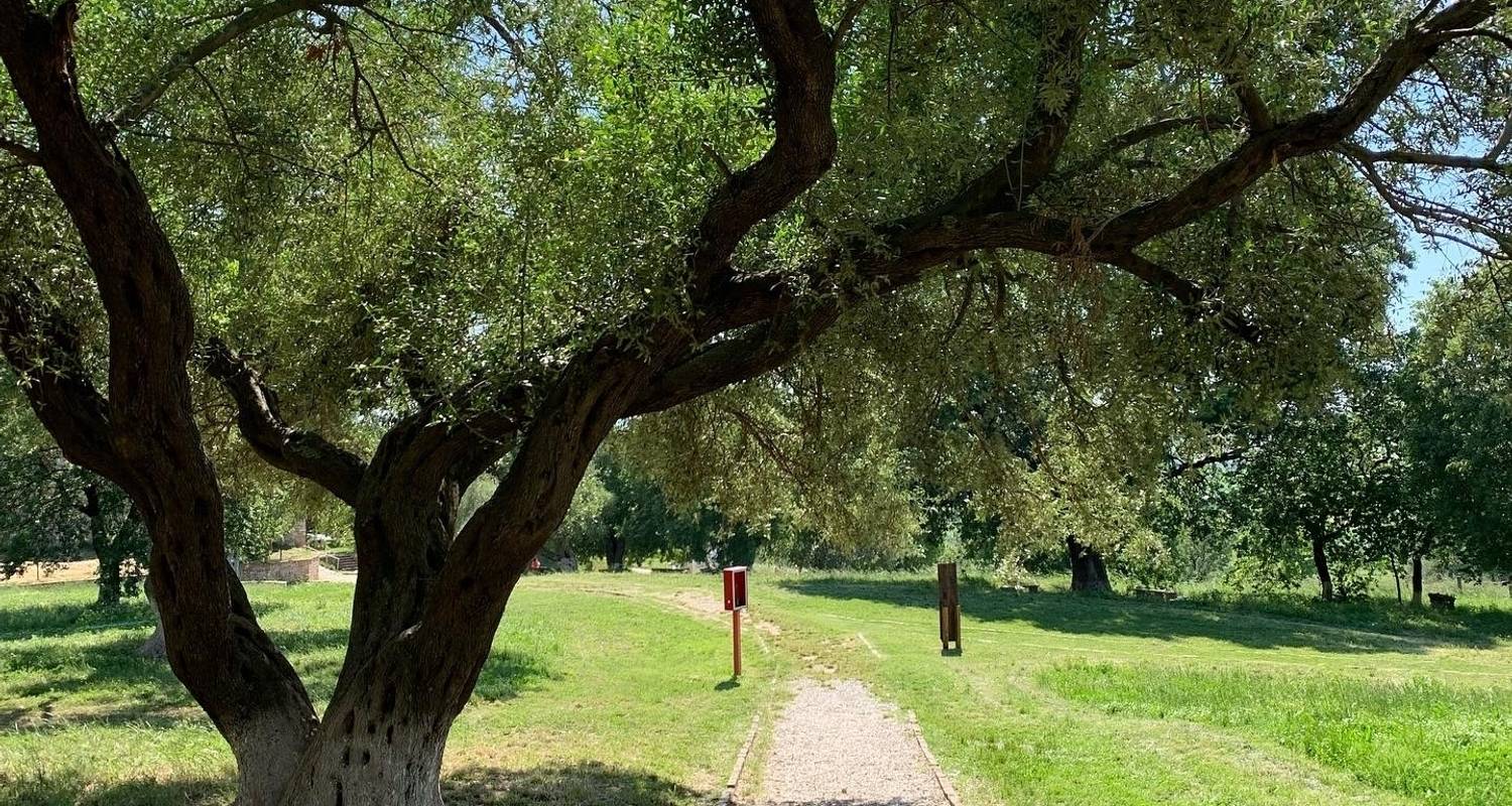 5 Days Summer Private Beach Holidays mixed with Sightseeing’s