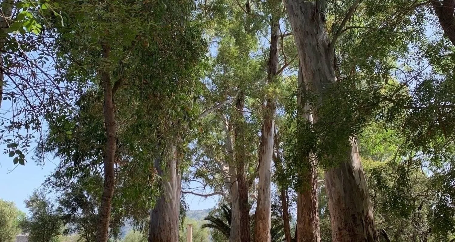 5 Days Albanian Country Side UNESCO Lake and old Towns Tour